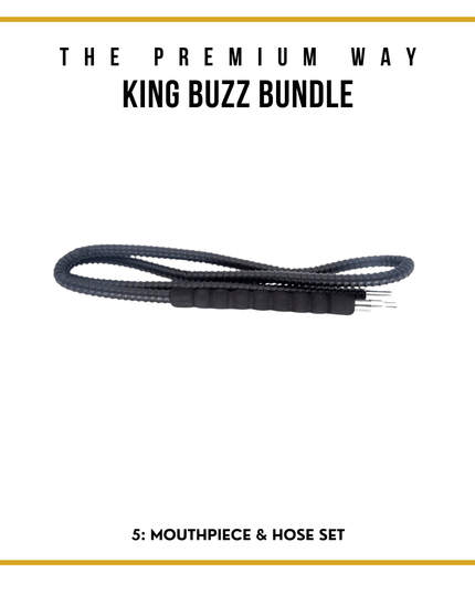 King Buzz Beginner's Shisha Kit – Complete Set for New Users