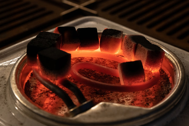 <h3><strong>Electric Coal Burners</strong></h3>